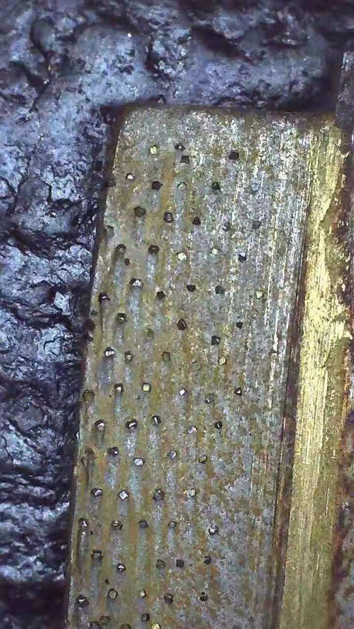 Frame saw diamond segment (12)